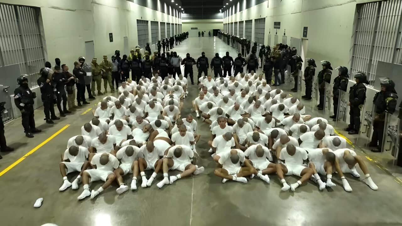 Image for read more article ''