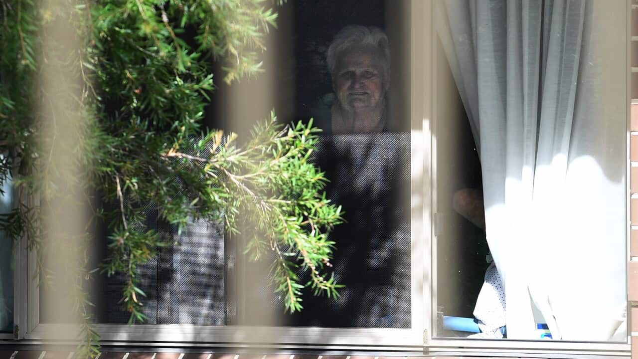 A car convoy protesting about JobSeeker payments drives through Sydney