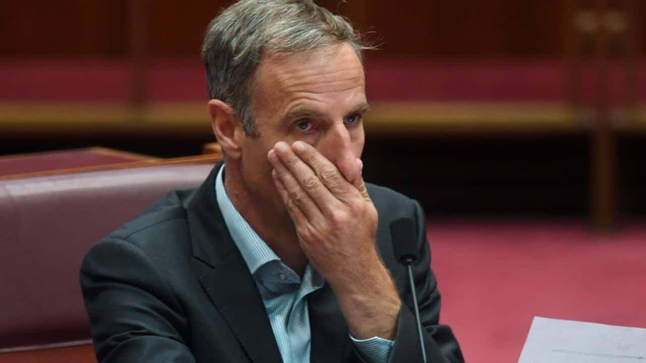 Australian Greens Senator Nick McKim