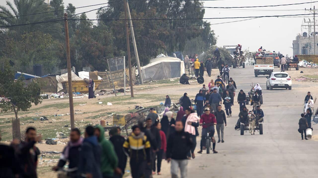 فلسطينية تنجب أربعة توائم في غزة بعد نزوحها مشيا على الأقدام: "كنت أحلم بيوم ولادتهم" | SBS Arabic24