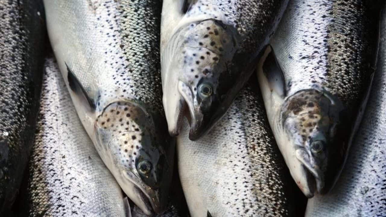 Image for read more article 'Veja ainda'