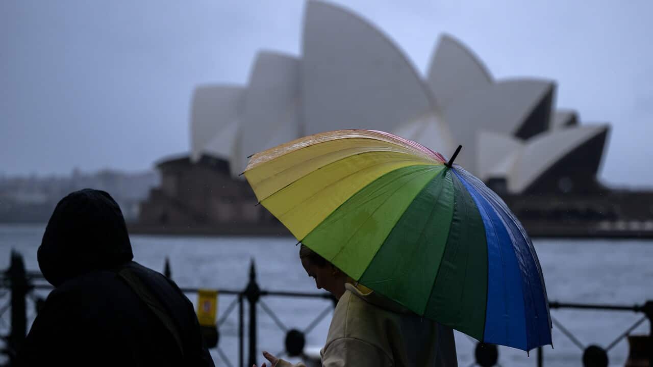 WET WEATHER SYDNEY