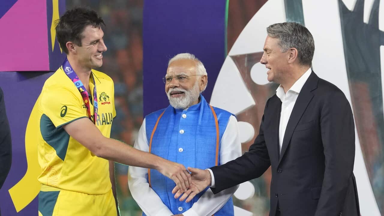 India Cricket WCup