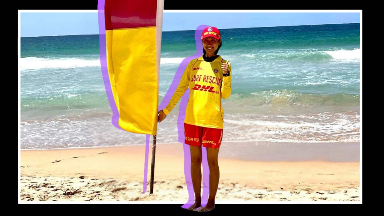 social media rules rnf 1280 x 720 px (1).png