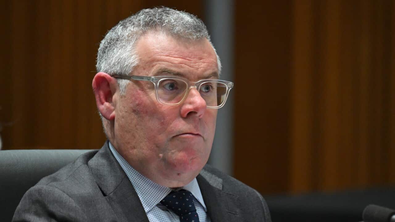 Murray Watt in glasses and a charcoal suit