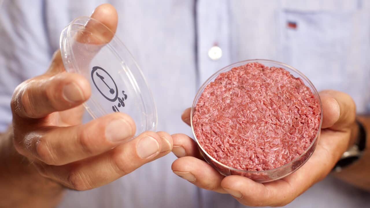 Test-tube burger