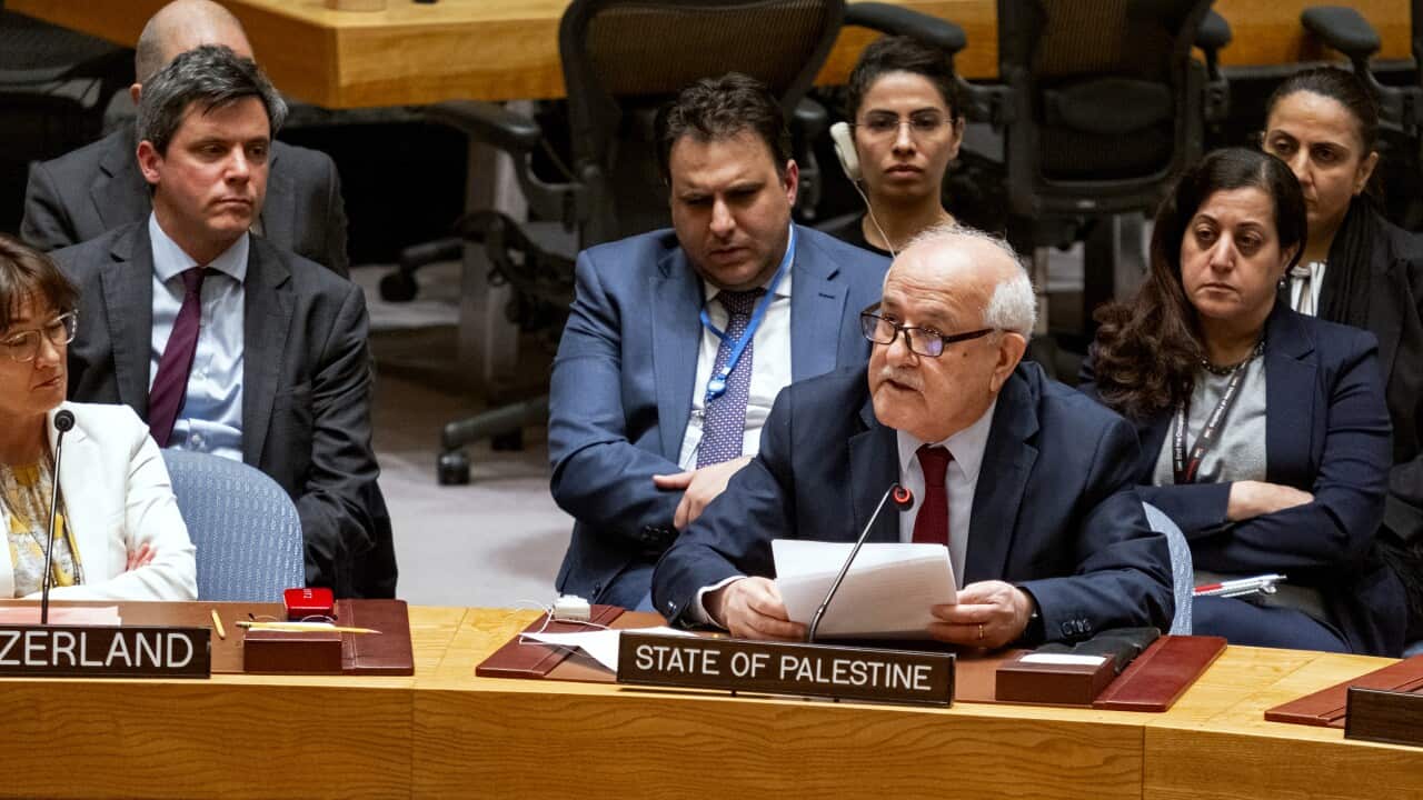 Israel Palestinians UN Security Council