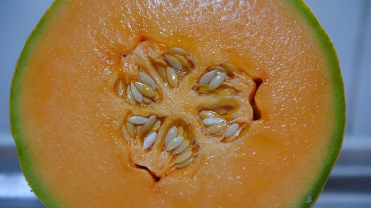 A rockmelon is seen on a kitchen bench in Sydney, Wednesday, August 3, 2016.