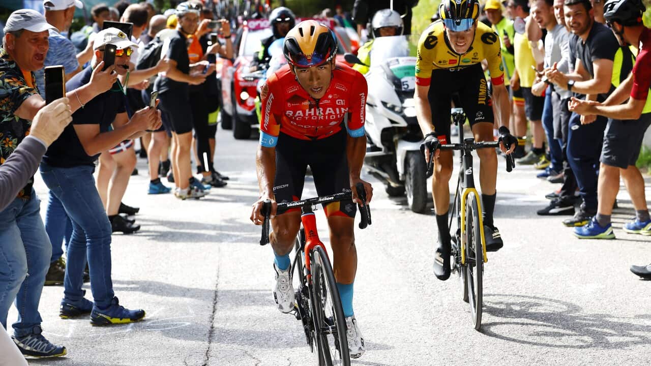 Image for read more article 'READ MORE'