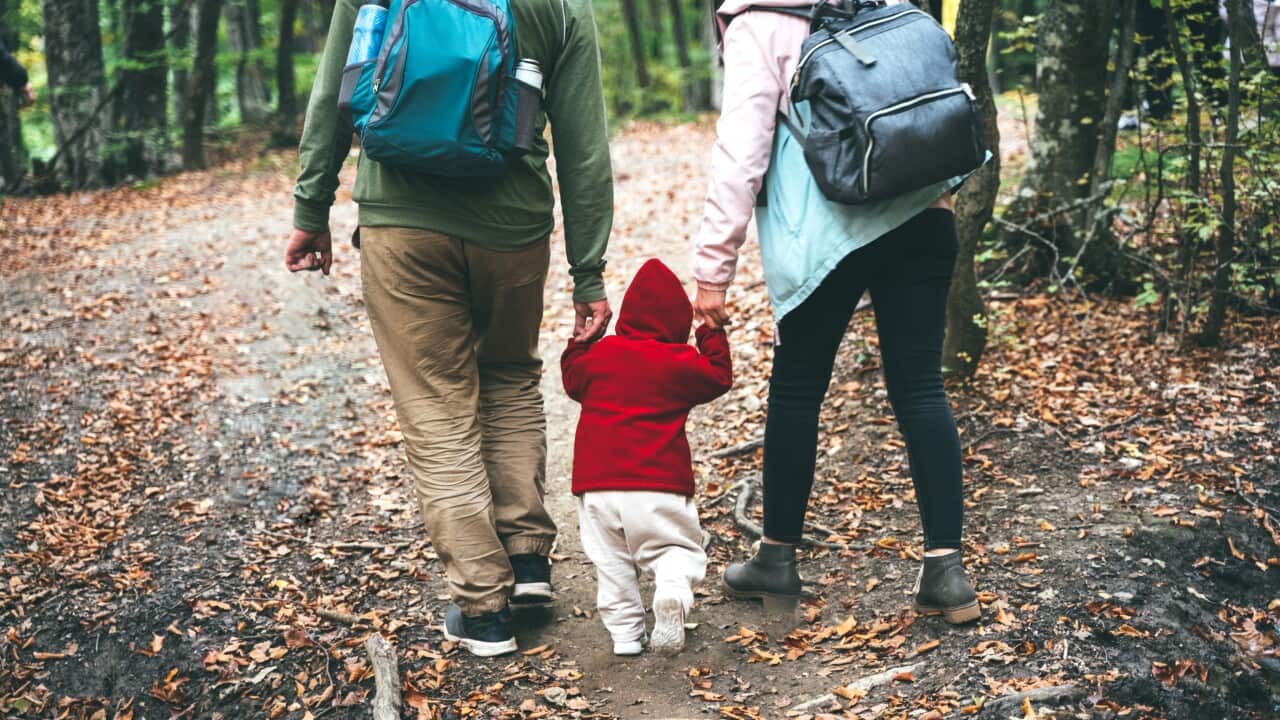 Young active family of hikers walking in the autumn forest with the toddler baby