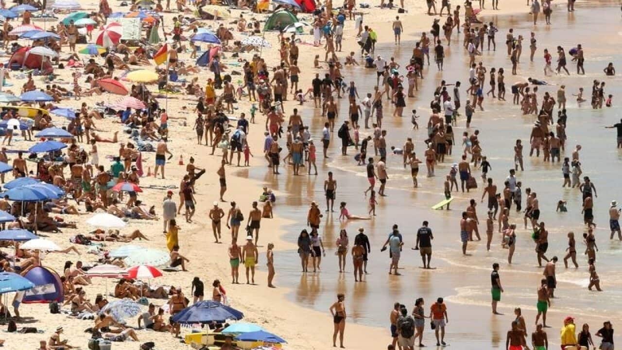 Image for read more article 'READ MORE'