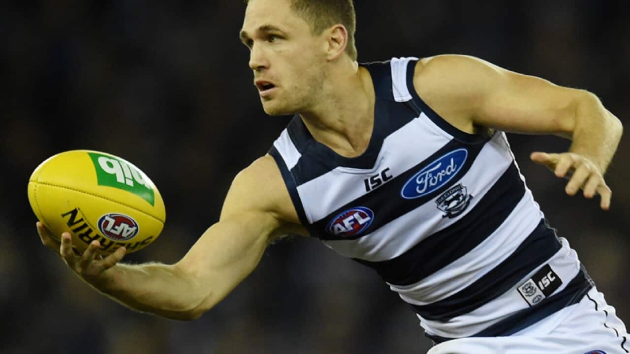 Geelong captain Joel Selwood
