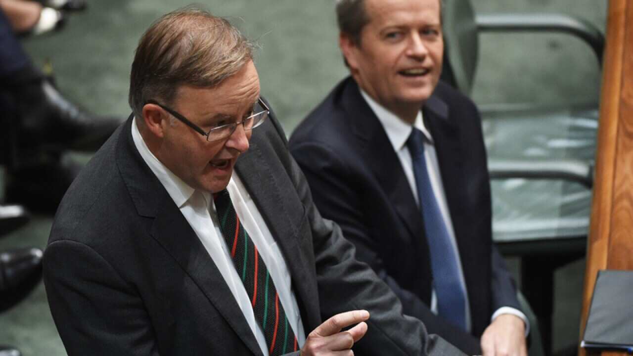 Anthony Albanese and Opposition leader Bill Shorten