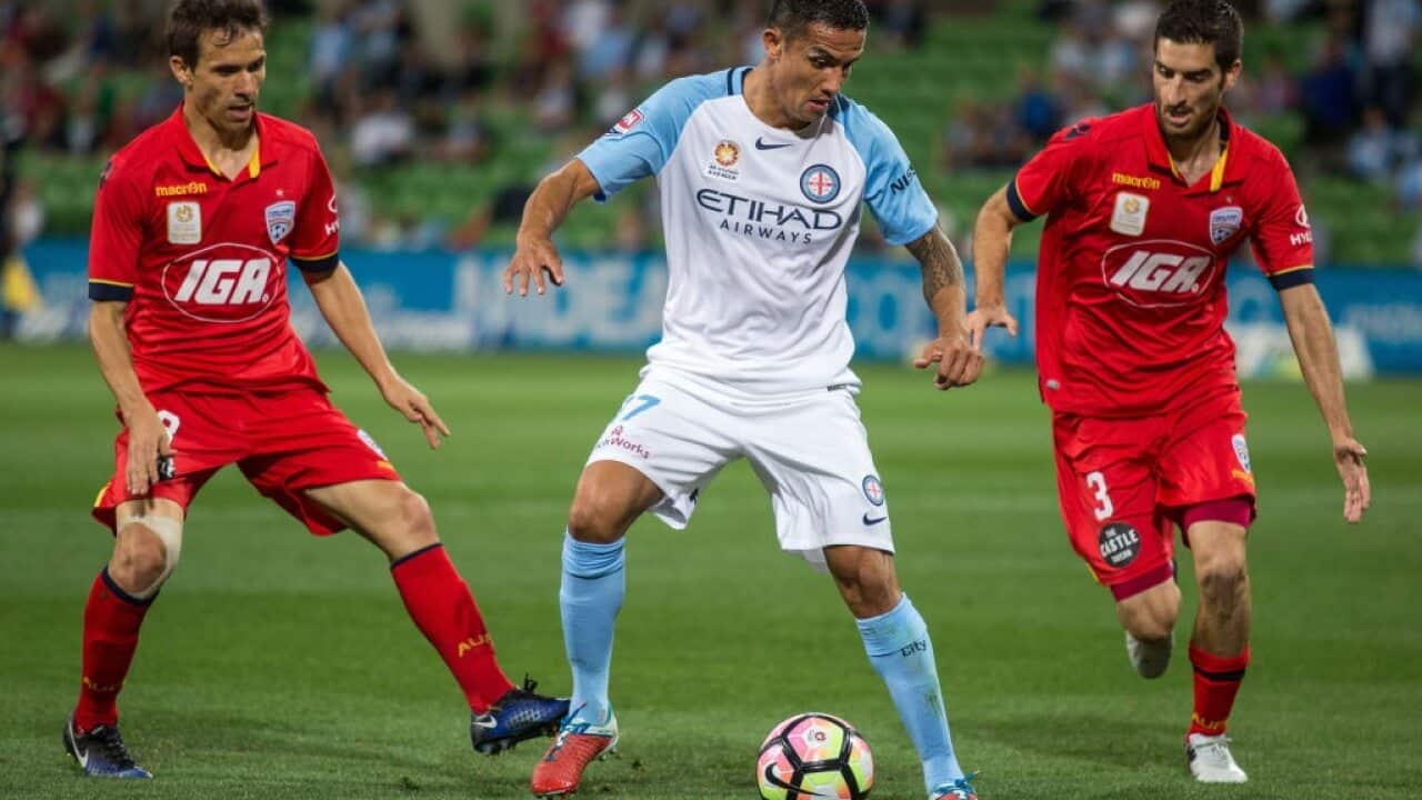 Tim Cahill