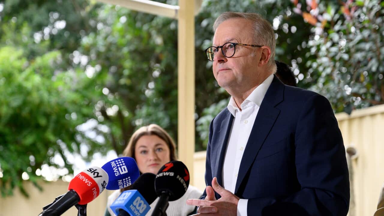 ANTHONY ALBANESE SYDNEY VISIT