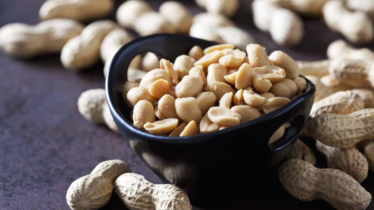 Bowl of salted peanuts