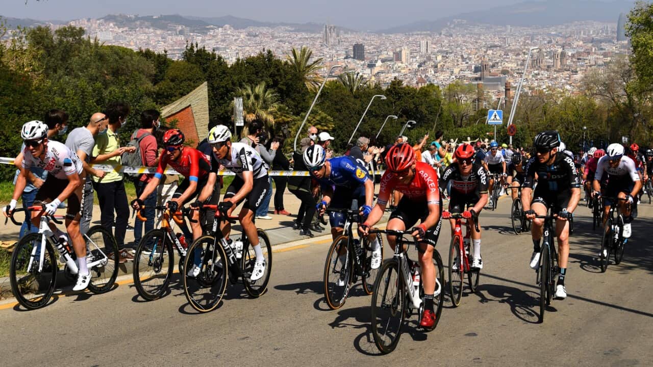 A general shot of the peloton during the final stage of the 2023 Volta a Catalunya.
