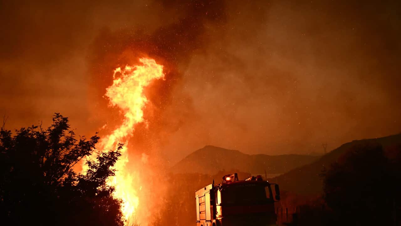 A firetruck drives past flames along a road during a wildfire 