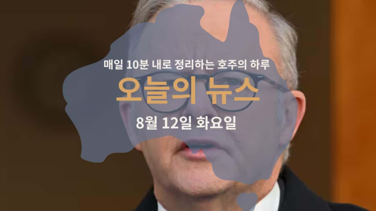060825 (2).png