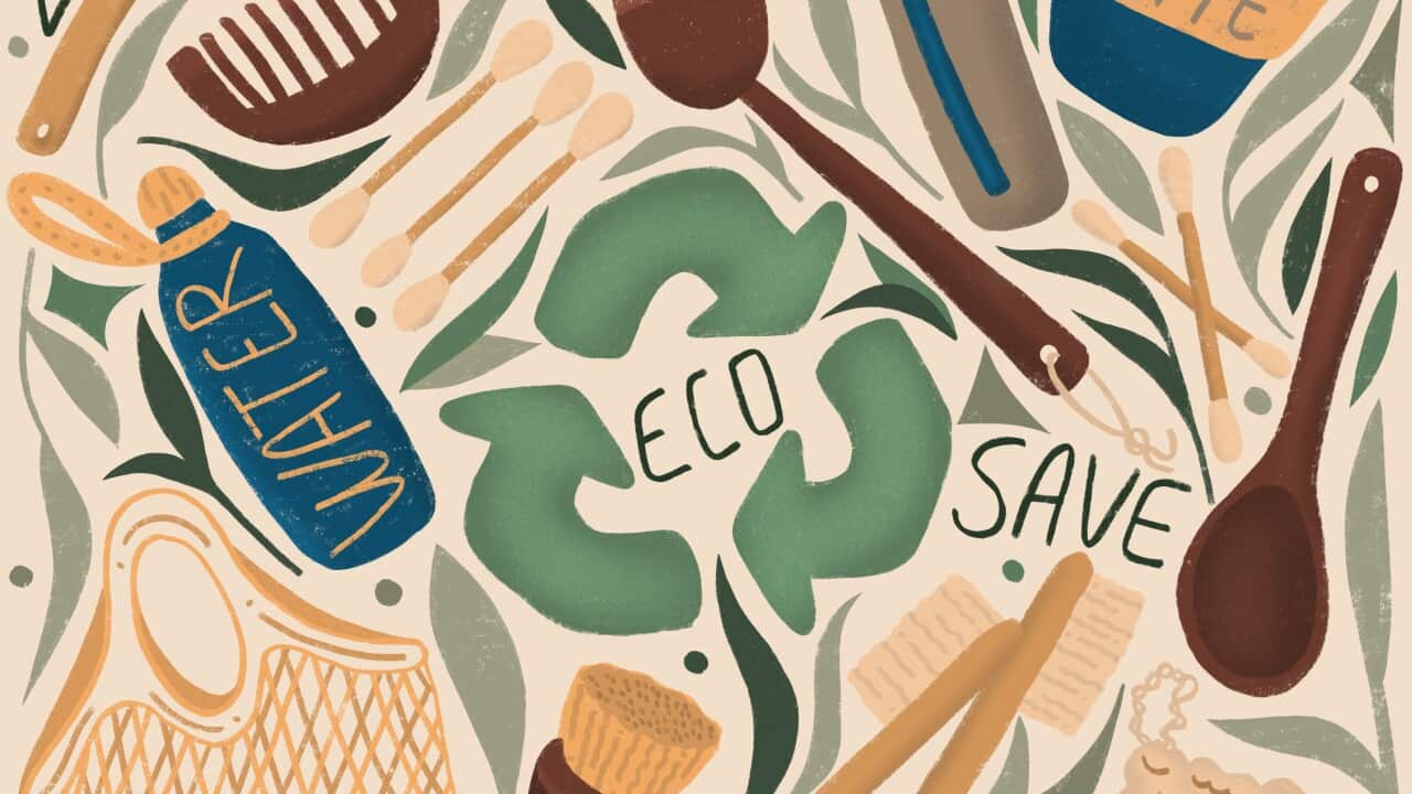 Conceptual picture on an ecological theme.