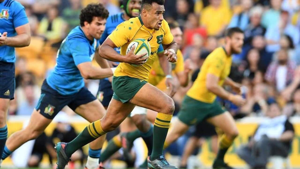 Will Genia of the Australian Wallabies