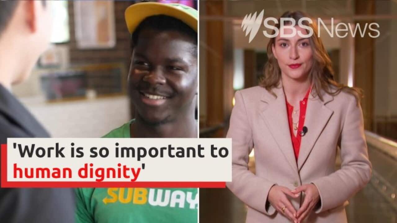 New Money To Help Refugees Into Work I SBS News SBS News new-money-to-help-refugees-into-work-i-sbs-news-sbs-news