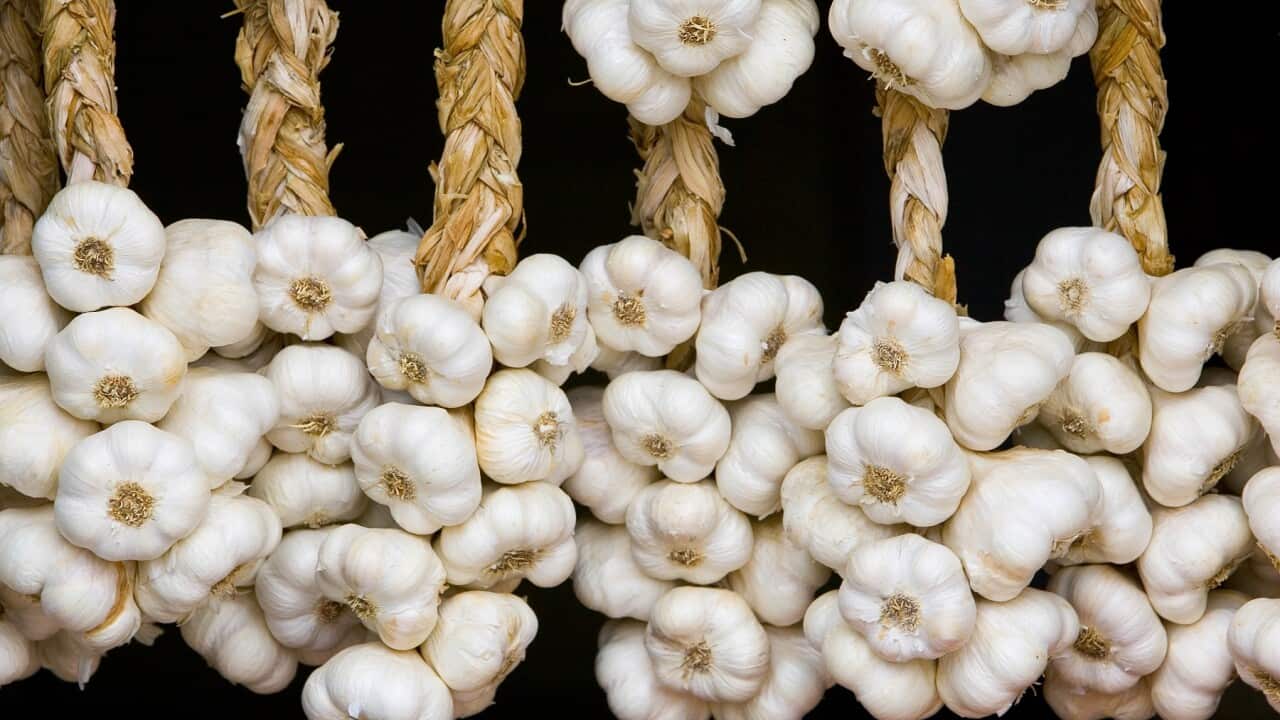 The mythical COVID cures include salt water, whiskey and garlic