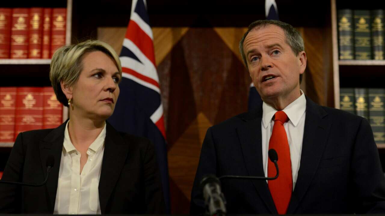 Federal Opposition Leader Bill Shorten (R) and deputy Tanya Plibersek