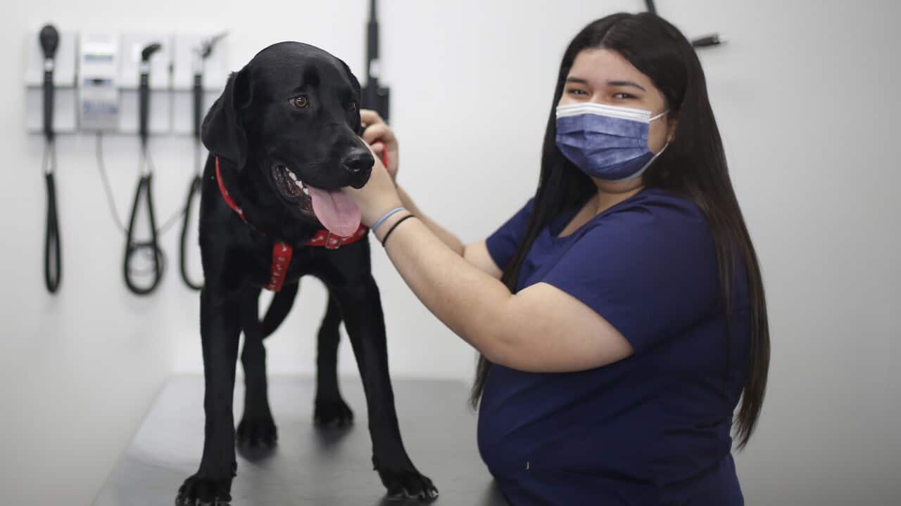 Image for read more article 'Lee también:'