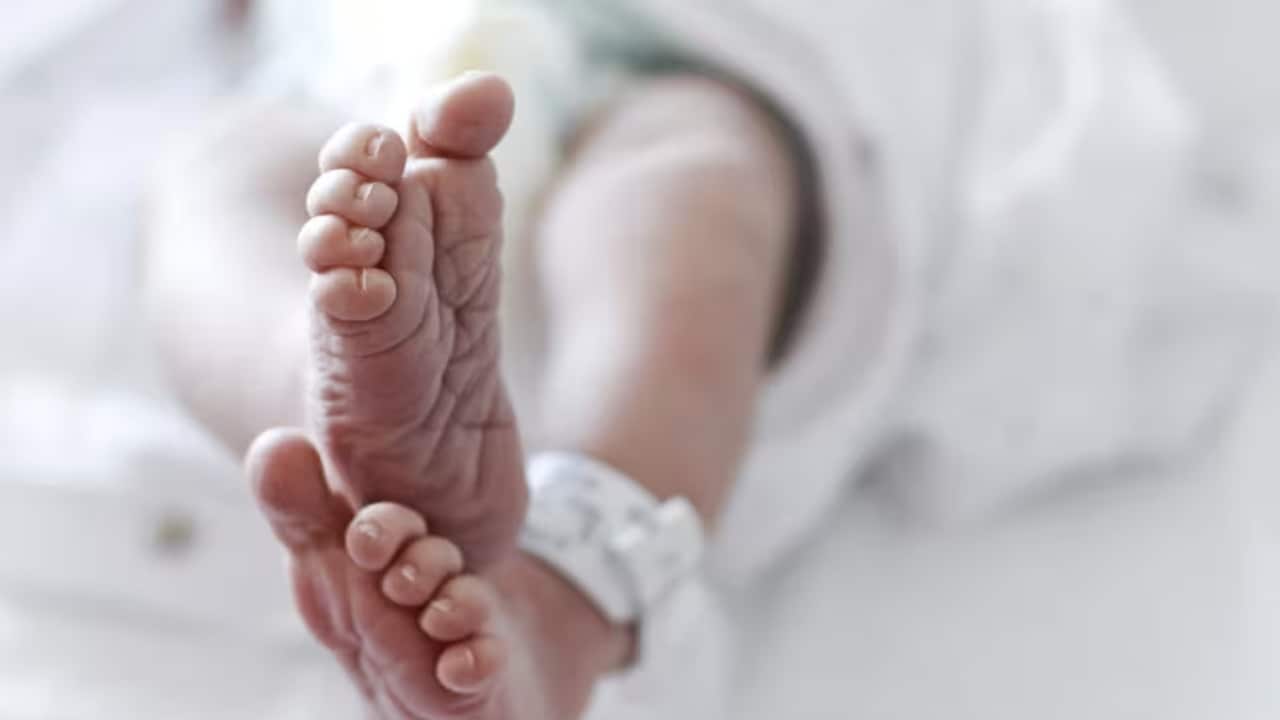 Screen Shot 2024-02-03 at 9.45.08 pm.png