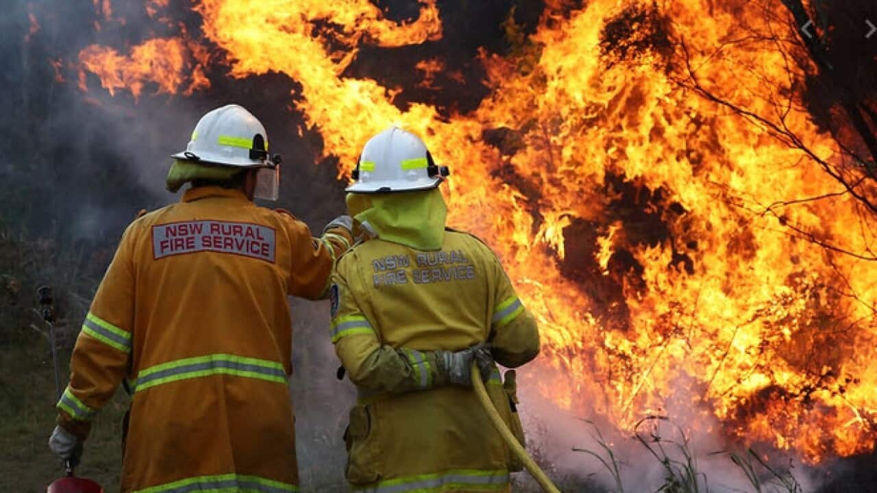Bushfires in NSW and QLD