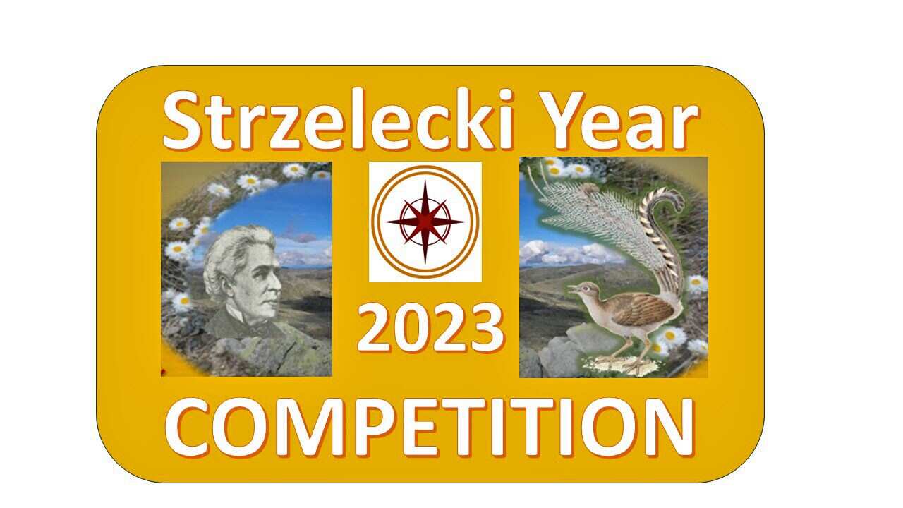 STRZELECKI2023COMPETITION-darker (002).jpg