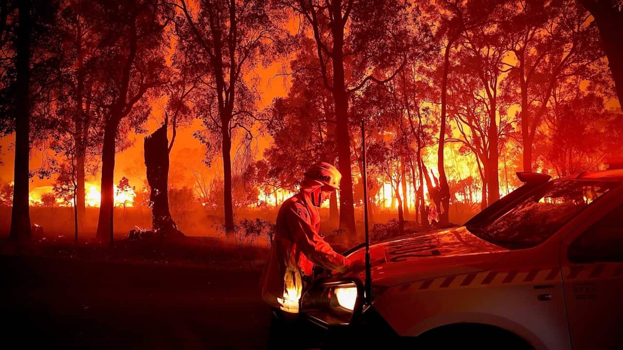 AUSTRALIA BUSHFIRES