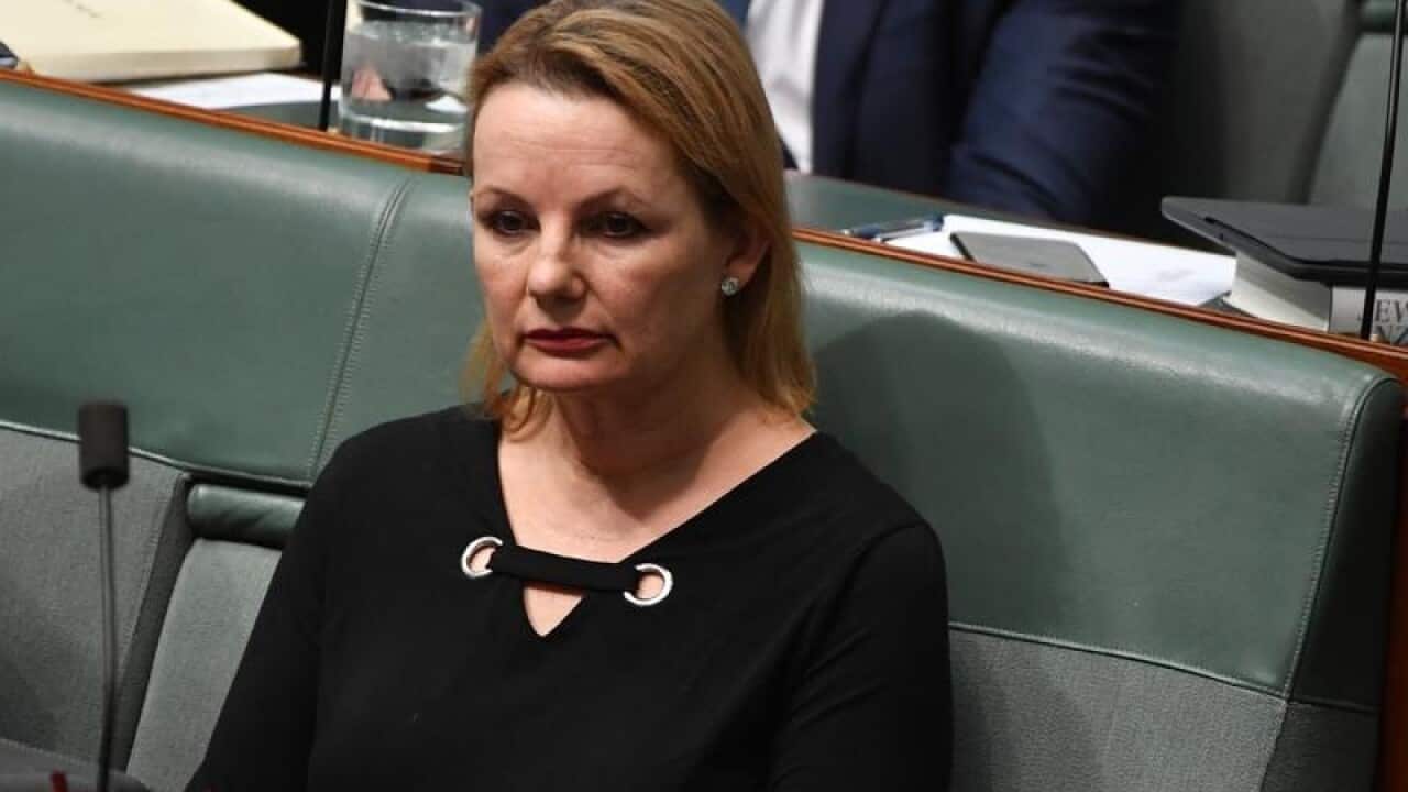 Liberal MP Sussan Ley in parliament.