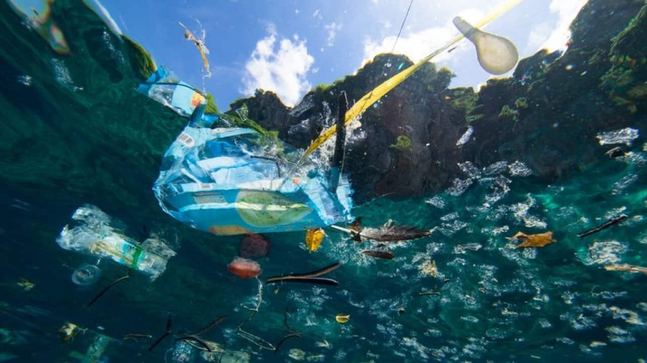 Plastic waste