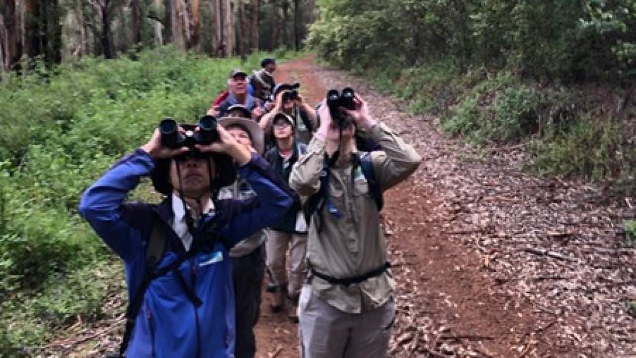 Participants in the Walpole Wilderness Bioblitz. Image: Daemon Clark