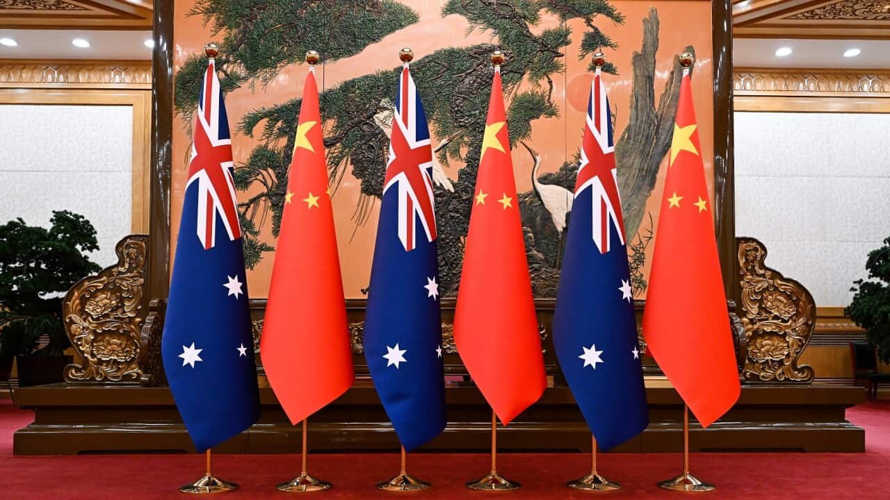ANTHONY ALBANESE CHINA TOUR