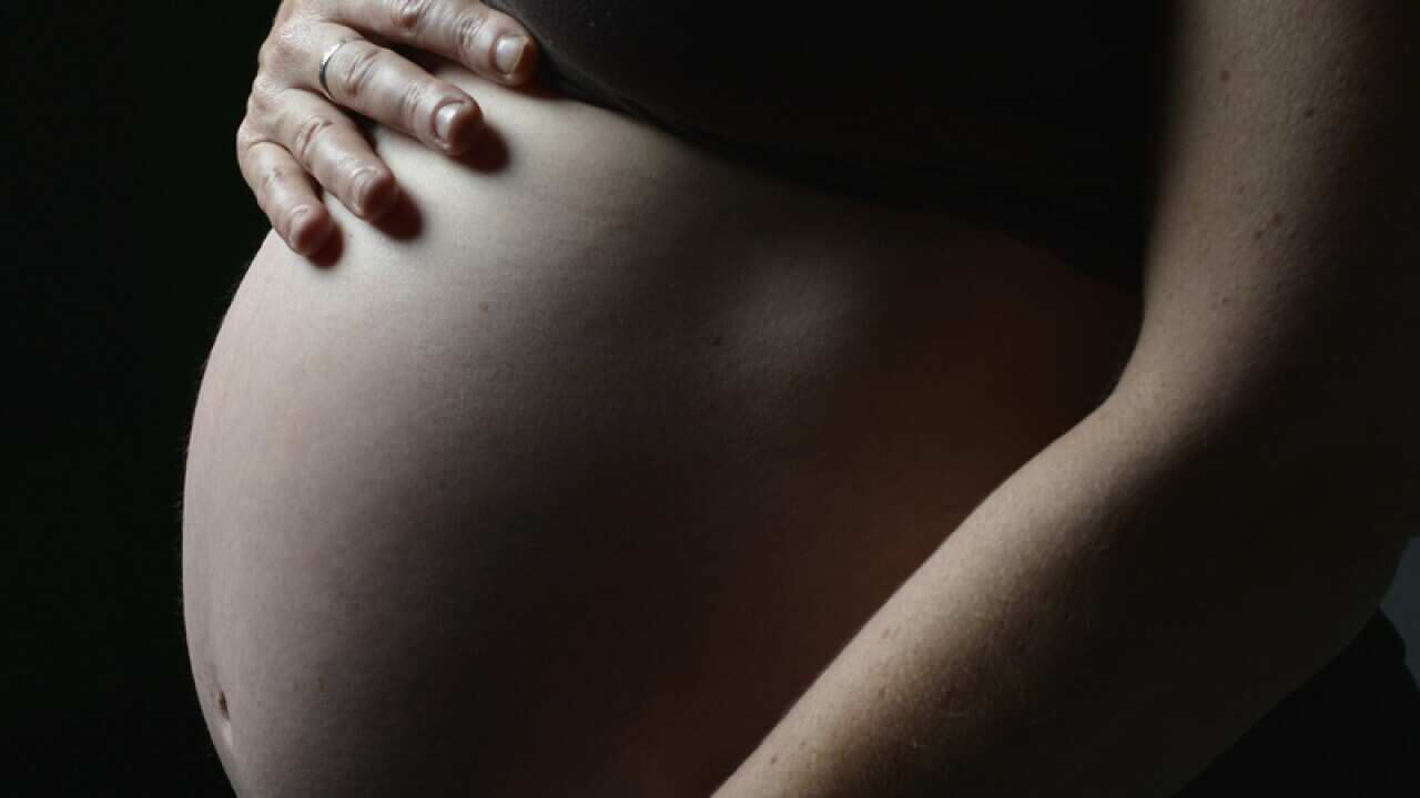 Pregnancy stock in Sydney