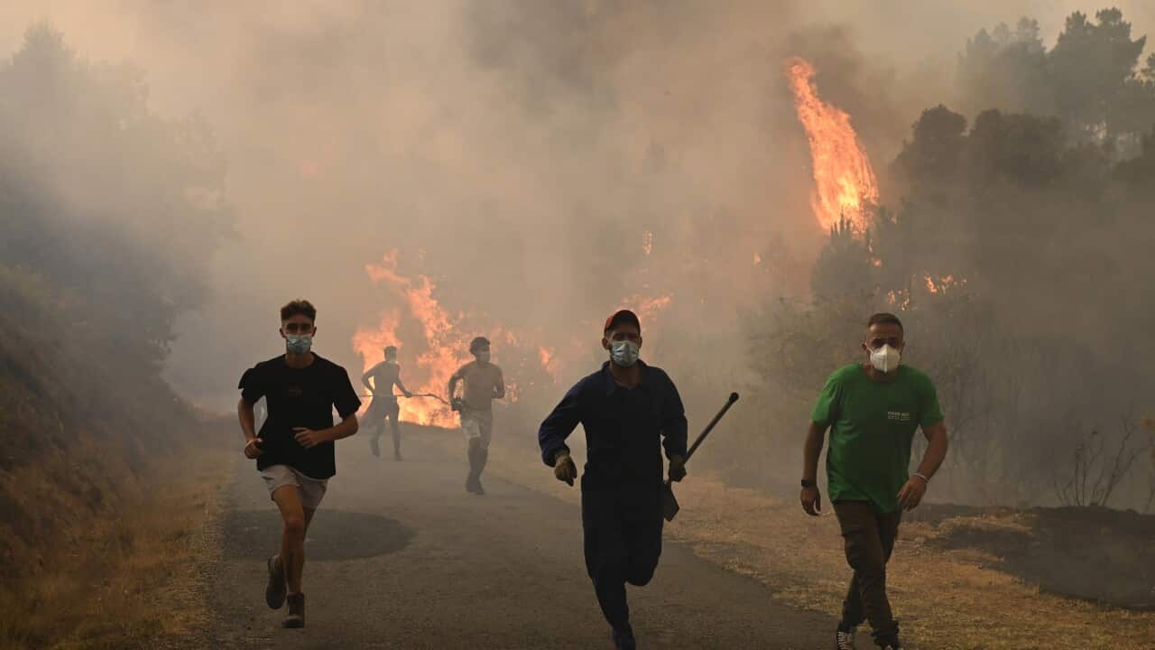 People run by a burnt area during a wildfire