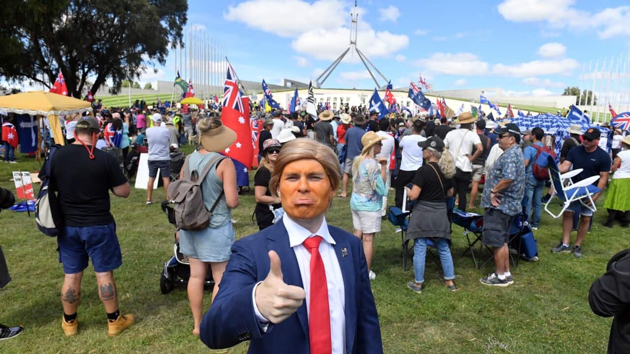 Convoy to Canberra protester dressed as Donald Trump during a protest outside Parliament House