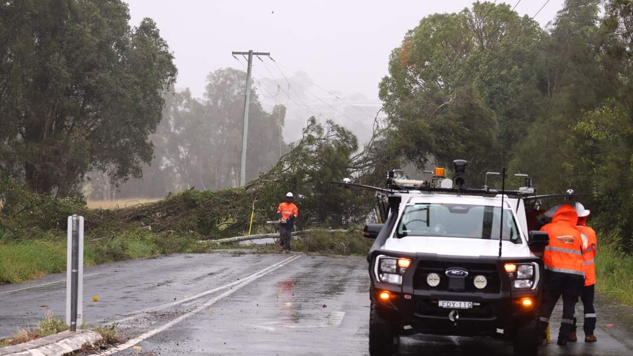 Image for read more article ''