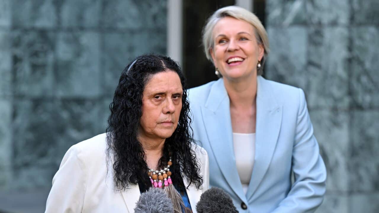 TANYA PLIBERSEK PRESSER