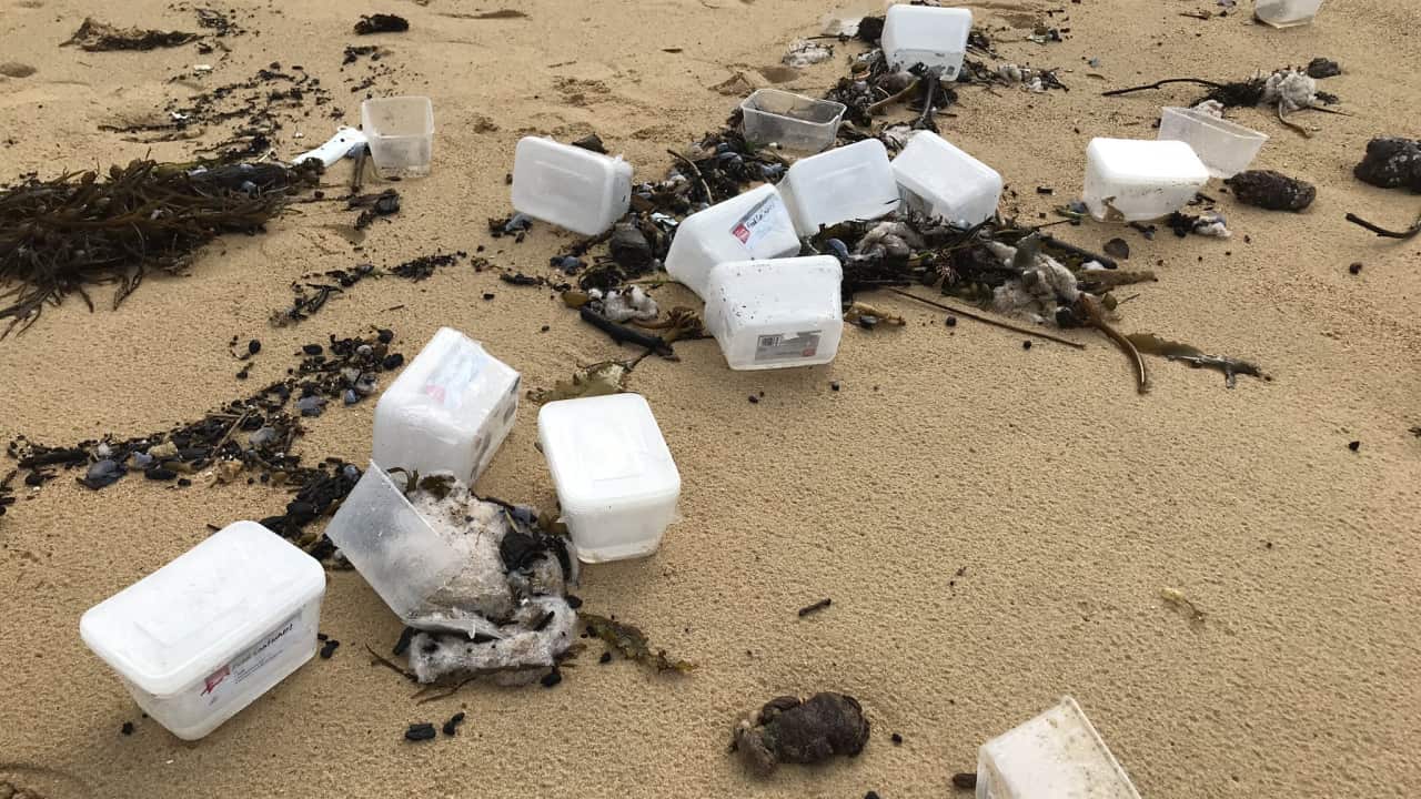 Debris on Malabar Beach in Sydney