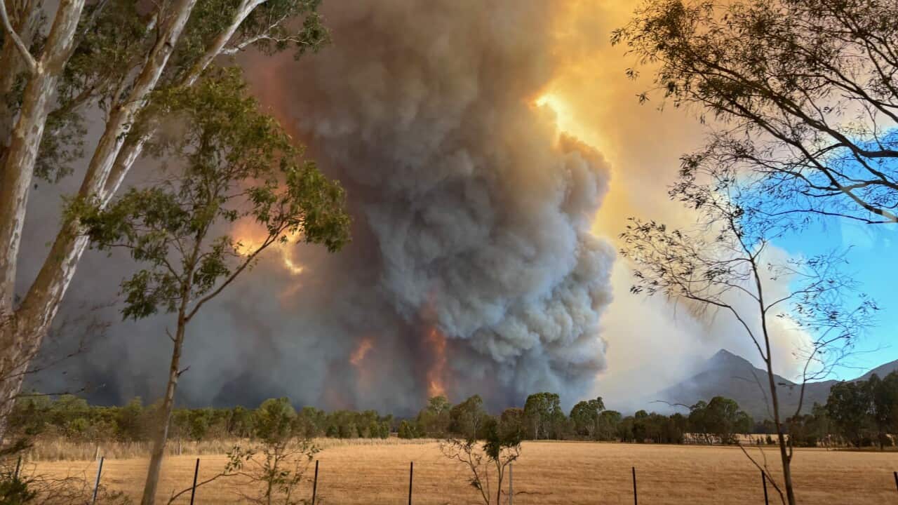 Image for read more article 'READ MORE'