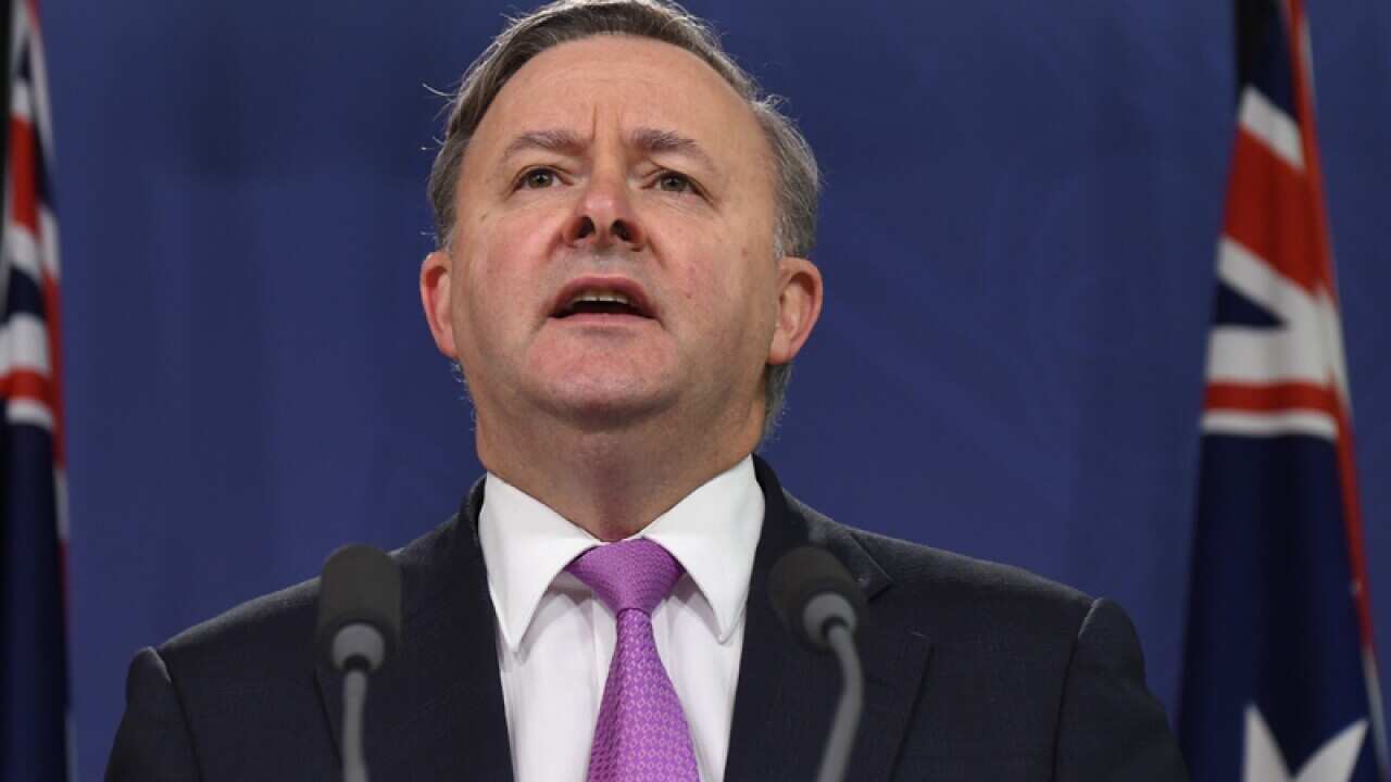 Shadow Minister for Infrastructure & Transport, Anthony Albanese