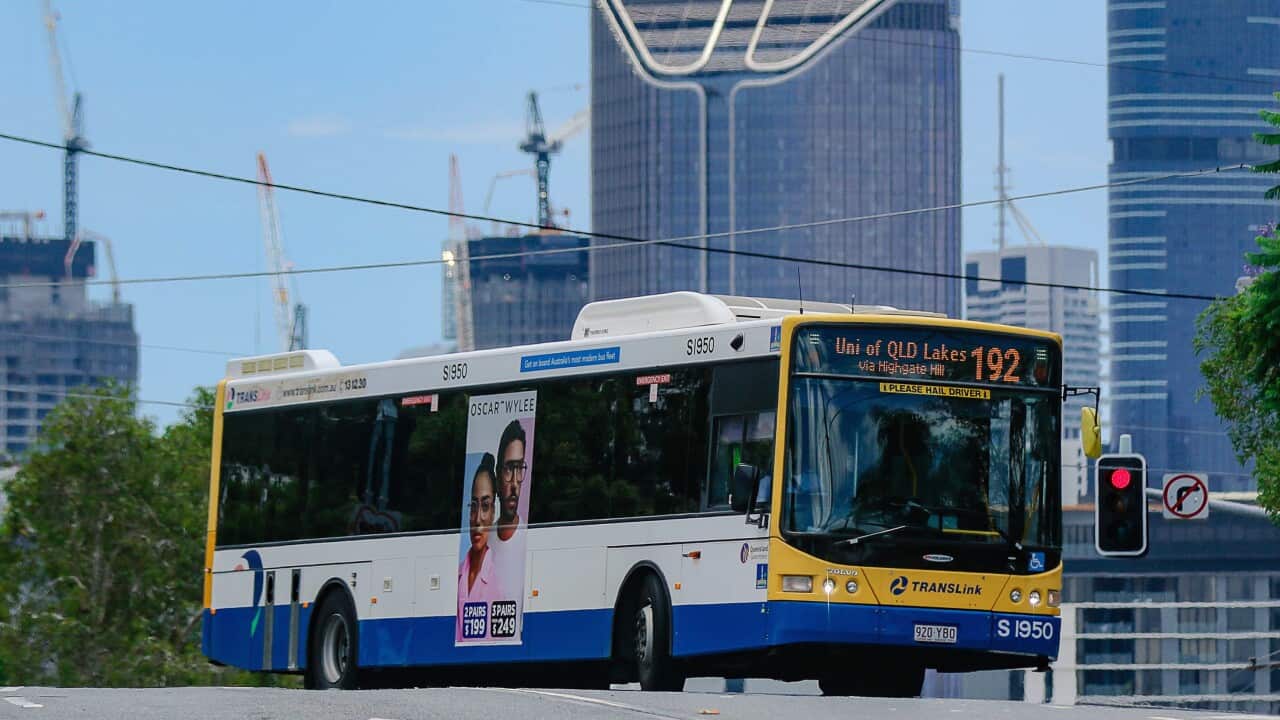 BRISBANE DAILY LIFE