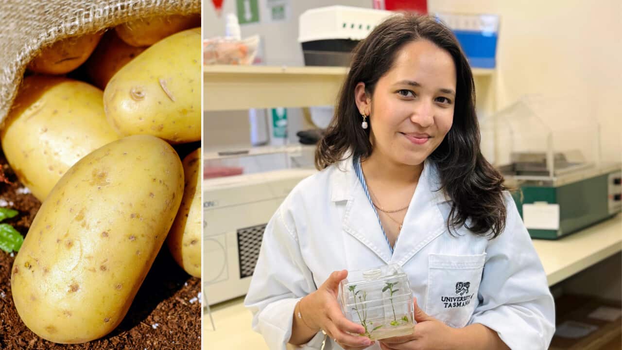 Ronika Thapa is a PhD researcher at the University of Tasmania.