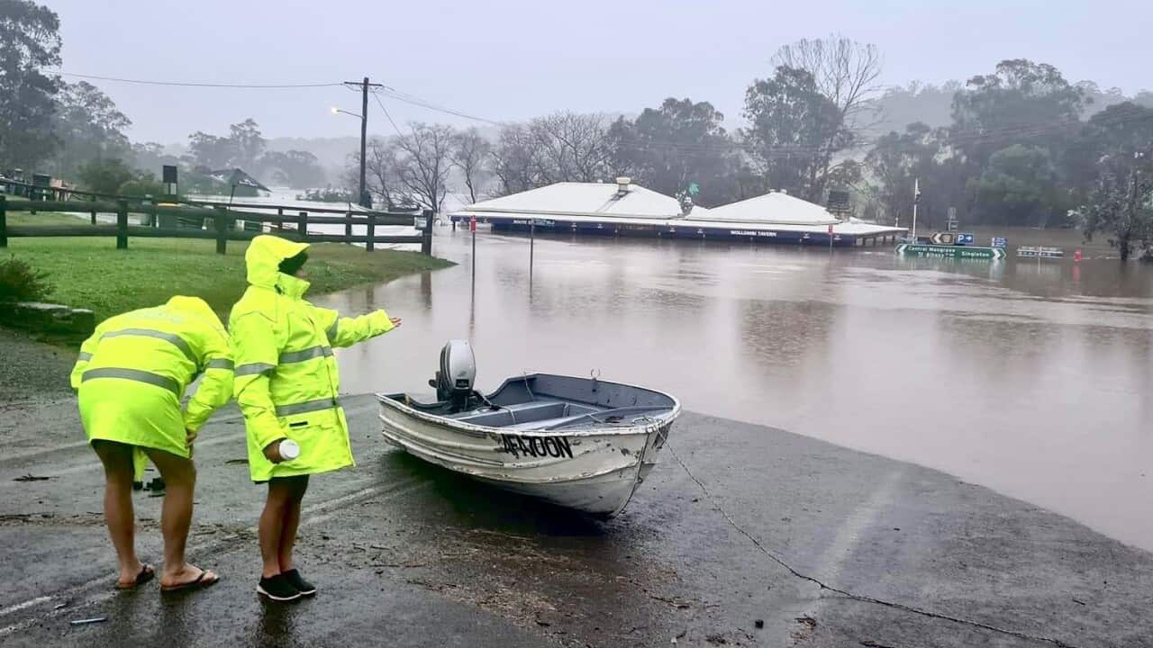 SBS News in Macedonian 11 July2022
