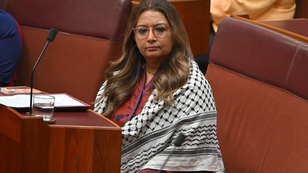 SENATE QUESTION TIME