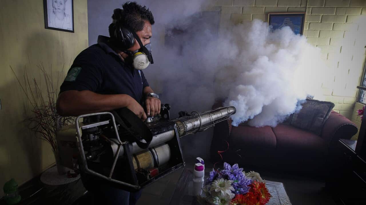 A worker of the Salvadorean Ministry of Health fumigates a house in Soyapango, 6 kilometers from San Salvador, El Salvador 